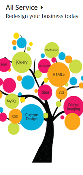 Web Expanders Services